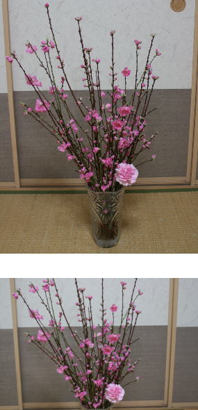ひな祭りに飾る用の八重咲きの桃の花の紹介 ひな祭り用の桃の花の通販を紹介
